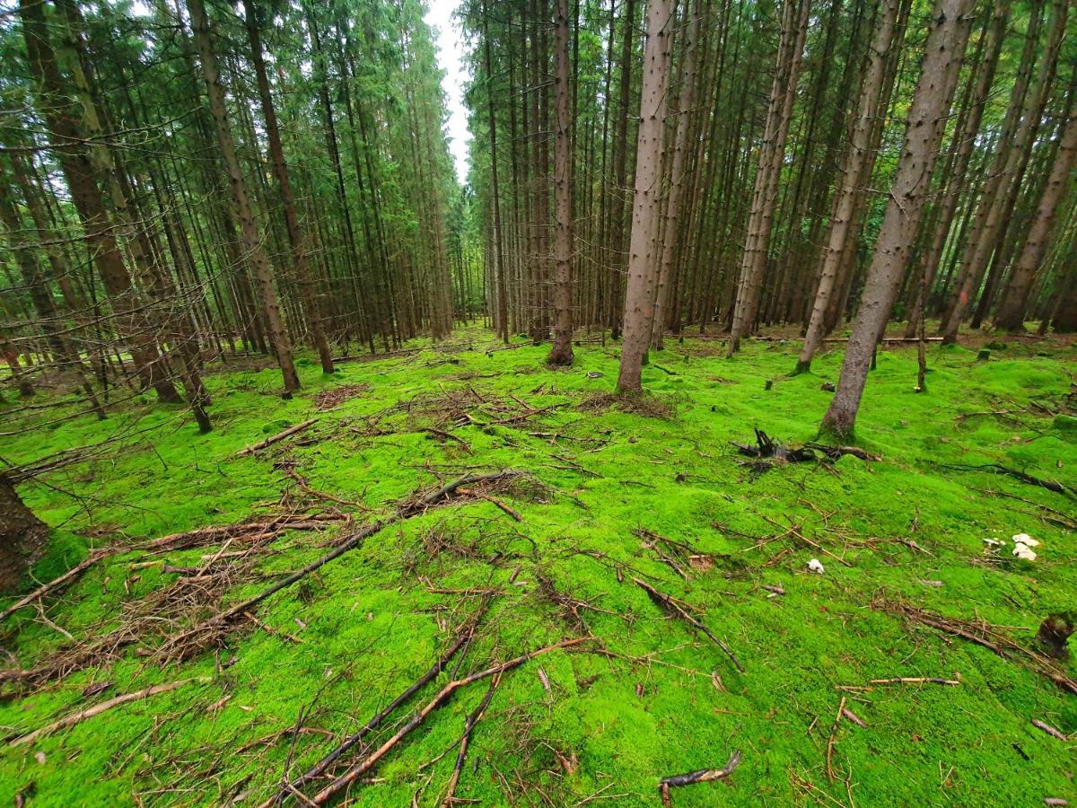 Holzhaus Am See Mit Panoramablick Trausnitz Екстериор снимка